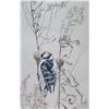 Image 2 : Framed Robert Bateman print titled "Downy Woodpecker on Goldrod Gall", pencil signed by artist and n