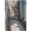 Image 2 : Framed Robert Bateman print titled "Young Barn Swallow", pencil signed by artist and numbered 741/95