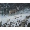 Image 2 : Framed limited edition print titled "Mule Deer in Snow", pencil signed by artist Robert Bateman, 936