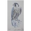 Image 2 : Framed limited edition print titled "Peregrine Falcon", pencil signed by artist Robert Bateman, 721/
