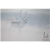 Image 2 : Framed limited edition print titled " Peary Caribou", pencil signed by artist Robert Bateman, 136/45