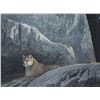 Image 2 : Framed Robert Bateman print titled "Rocky Wilderness Cougar", pencil signed by artist and numbered 5