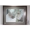 Image 1 : Framed limited edition print titled "Silent Witness" pencil signed by artist Robert Bateman, 526/220