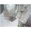 Image 2 : Framed limited edition print titled "Silent Witness" pencil signed by artist Robert Bateman, 526/220
