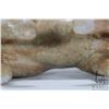 Image 8 : Inuit carved soapstone bison, signed by artist Johnny Iqulik, 8" in length