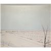 Image 2 : Dutch artist Cor ter Brugge '47 (1924-2006), oil on board painting of a stark winter landscape,, 20"