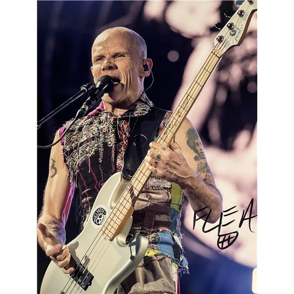 Red Hot Chili Peppers Flea signed photo
