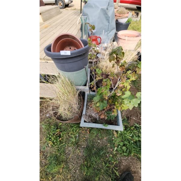 assorted garden planters