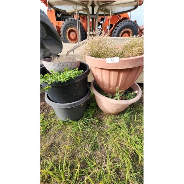 assorted garden planters