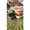 Image 1 : assorted garden planters