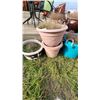 Image 1 : assorted garden planters
