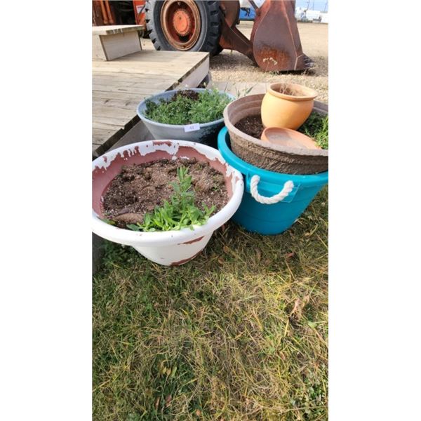 assorted garden planters