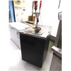 Image 1 : TRIPLE TAP 3-KEG BEER FRIDGE