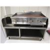 Image 1 : PLAQUE DE CUISSON AU GAZ EURODIB A/HOSE ET BASE INOX