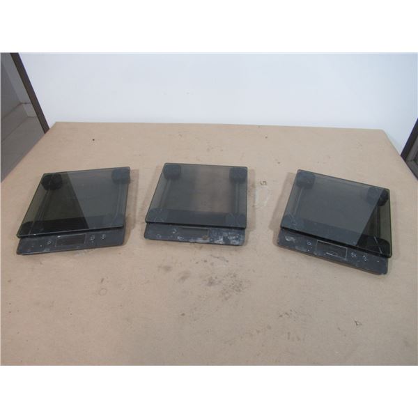 TABLE SCALE 30LB MAX PADERNO3903EFPAD