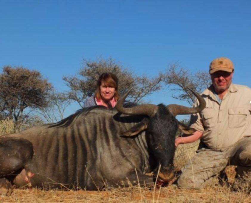 Springbuck Blue 5-Day Namibia Zebra, Impala, Springbuck, Blue Wildebeest Hunt for 1 ...