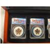 Image 2 : 2013 Silver Maple Leaf 5 Coin Set, 25th Anniversary Pure Silver Fractional Set