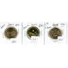 Image 1 : three Loonies 2005, 2006, 2013 BU