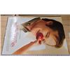 Image 2 : 4 Large movie posters - 40"x27" - some double sided