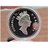 Image 3 : 1991 Canadian "Frontenac" silver proof dollar, in RCM case.
