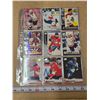 Image 1 : 54 Florida Panthers hockey cards