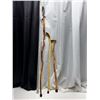 Image 1 : Walking Sticks