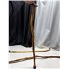 Image 2 : Walking Sticks