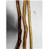 Image 8 : Walking Sticks