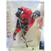 Image 2 : McFarlane's NHL series 15 Calgary flames Dion Phaneuf