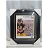 Image 1 : 100th Grey cup Canada Hamilton tiger cats "Hometown heroes 1972- Brand-new- 21"x18"