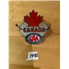Image 1 : CAA badge, c/w original screws - new never used