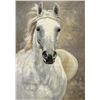 Image 1 : The Awesome Mare by Inam