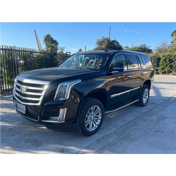 CADI ESCALADE 2016 T-REPO 2 DAYS