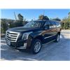 Image 1 : CADI ESCALADE 2016 T-REPO 2 DAYS