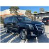 Image 2 : CADI ESCALADE 2016 T-REPO 2 DAYS