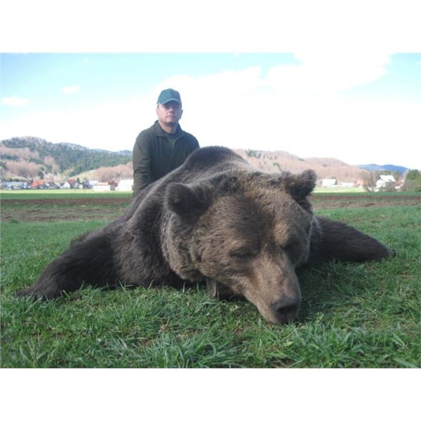 Big Game and Tours In Croatia