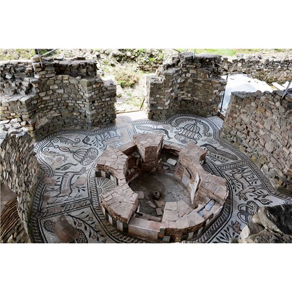 Wolf and Tours in North Macedonia