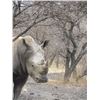 Image 4 : Rhinoceros Hunt in the Limpopo Province, South Africa