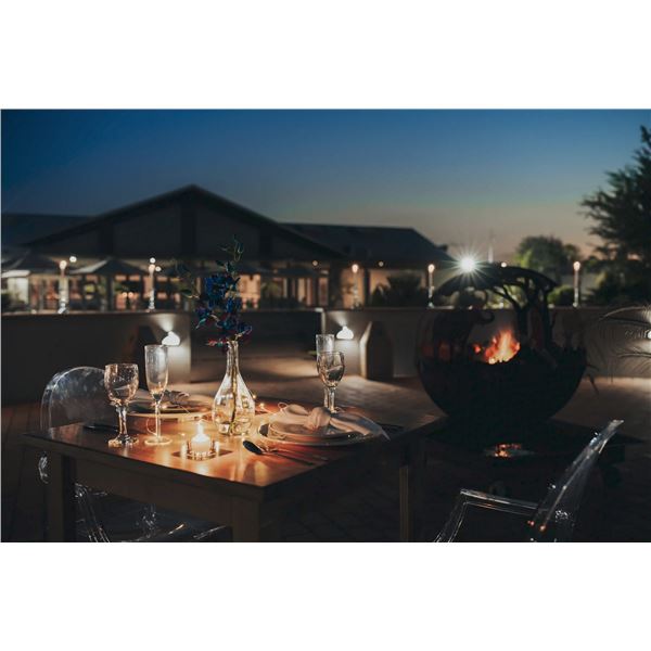 Plains Game in the Northwest Province, South Africa