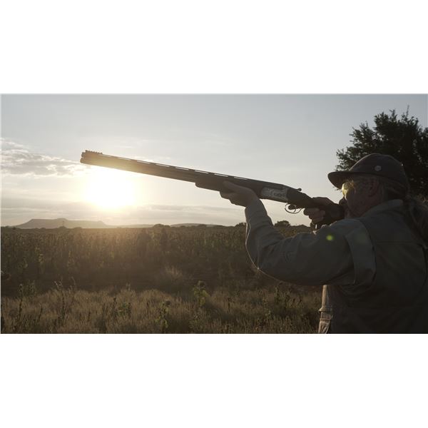 Wild Wingshooting East Central South Africa