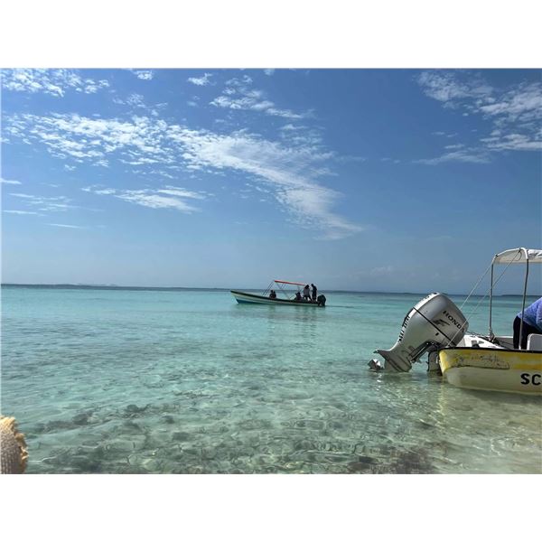 Belize Jungle And Fishing
