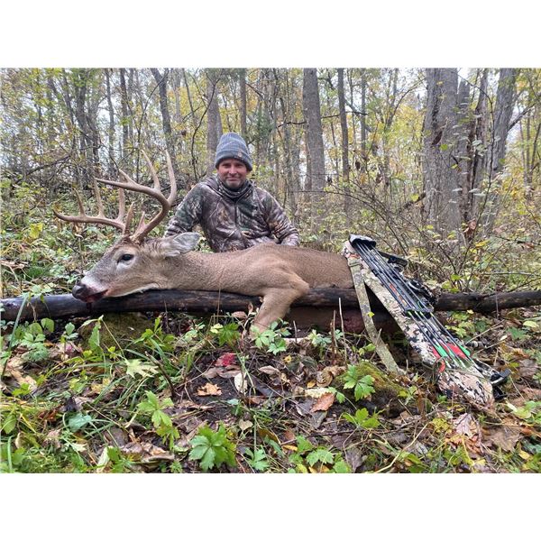 Missouri Archery Whitetail