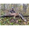 Image 1 : Missouri Archery Whitetail