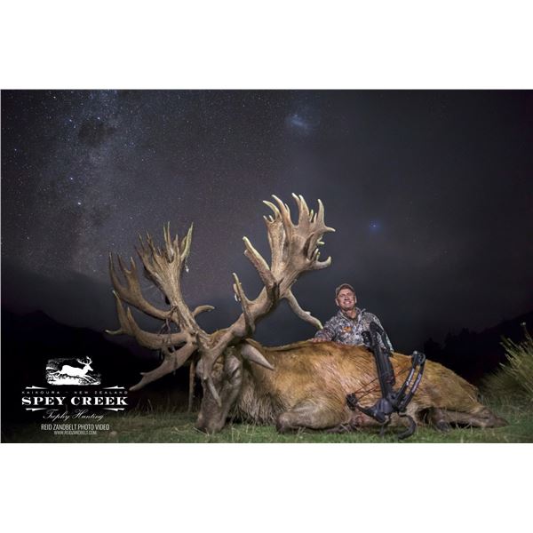 Red Stag with Spey Creek in New Zealand
