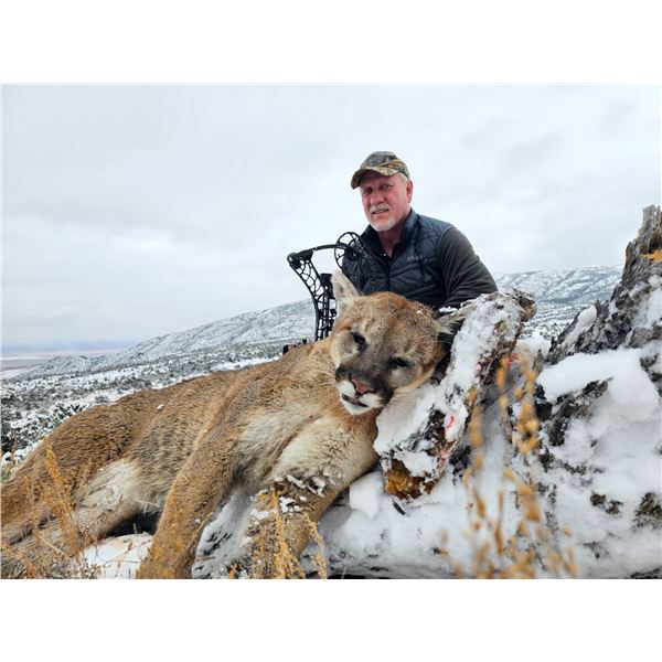 Hunt Big Lions with the Best!