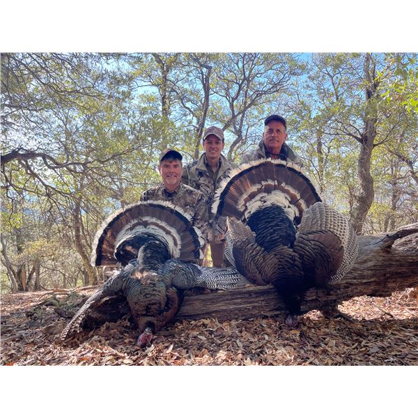 Goulds Turkey Hunt for 2 Mexico