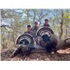 Image 1 : Goulds Turkey Hunt for 2 Mexico