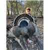 Image 2 : Goulds Turkey Hunt for 2 Mexico