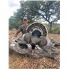 Image 7 : Goulds Turkey Hunt for 2 Mexico