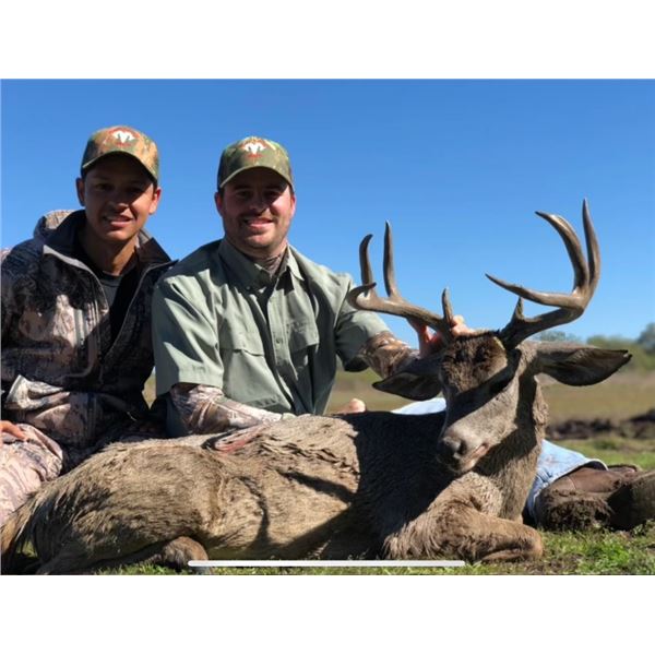 Coues Deer Hunt in Mexico